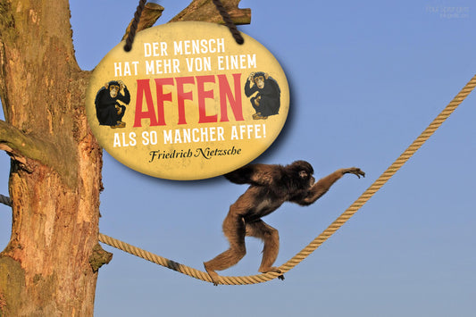 Blechschild ''Der Mensch hat mehr vom Affen als mancher Affe'' 18x14cm