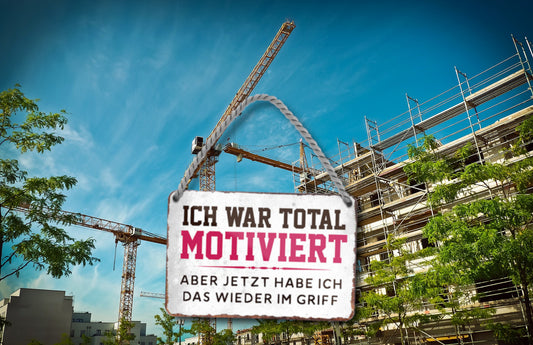 Blechschild ''Ich war total motiviert.. jetzt wieder im Griff'' 18x12cm