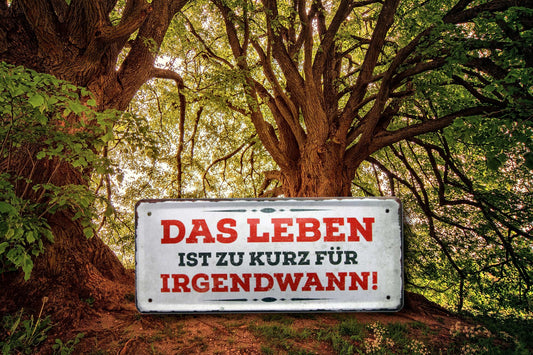 Blechschild ''Das Leben ist zu kurz für irgendwann (grau)'' 28x12cm