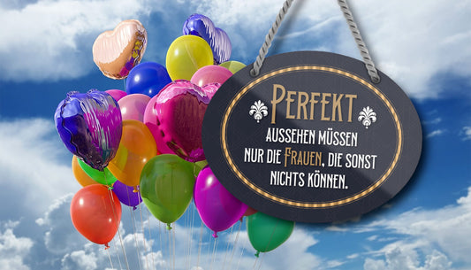 Blechschild ''Perfekt aussehen müssen nur Frauen die nichts können'' 18x14cm