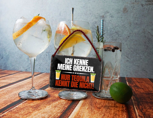 Blechschild ''Ich kenne meine Grenzen. Nur Tequila kennt die nicht'' 18x12cm