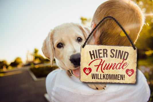 Blechschild ''Hier sind Hunde willkommen'' 18x12cm