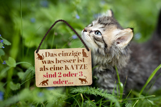 Blechschild ''Das einzige was besser ist als eine Katze. 2 oder 3'' 18x12cm
