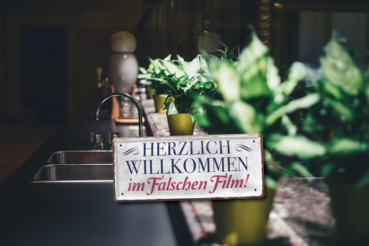 Blechschild ''Herzlich Wollkommen im falschen Film'' 28x12cm
