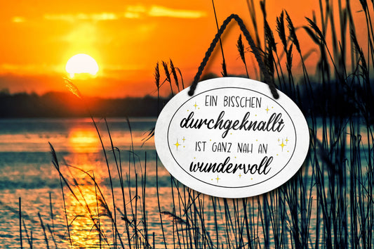 Blechschild ''Ein bisschen durchgeknallt ist nah an wundervoll'' 18x14cm