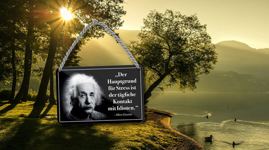 Tin sign ''The main reason for stress is the.. (Einstein)'' 18x12cm