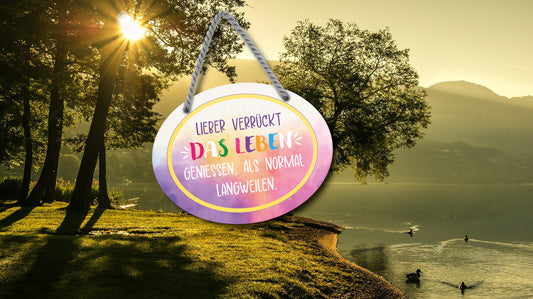 Blechschild ''Lieber verrückt das Leben geniessen als normal'' 18x14cm