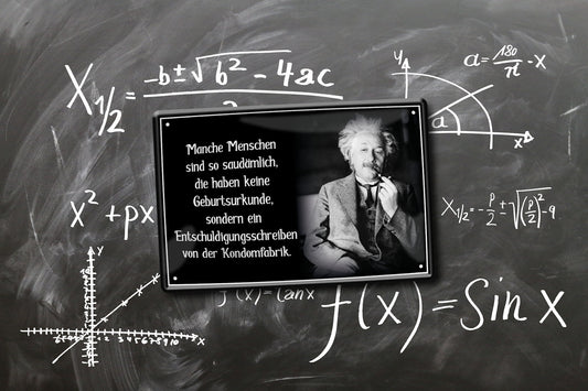 Blechschild ''Manche Menschen sind so saudämlich (Einstein)'' 20x30cm