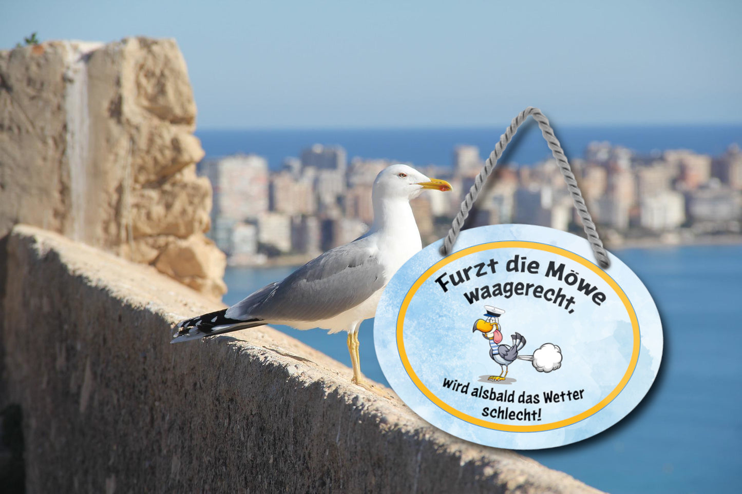 Blechschild ''Furzt die Möwe waagerecht wir das Wetter schlecht'' 18x14cm