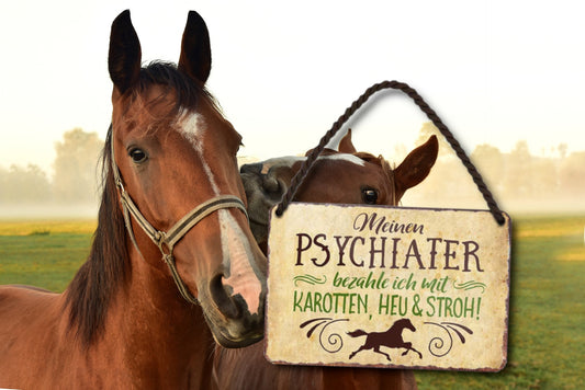 Blechschild ''Meinen Psychiater bezahle ich mit Karotten, Heu & Stroh'' 18x12cm