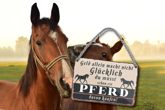 Blechschild ''Geld allein macht nicht glücklich Pferd'' 18x12cm