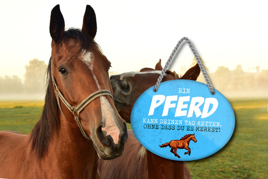 Blechschild ''Ein Pferd kann deinen Tag retten'' 18x14cm