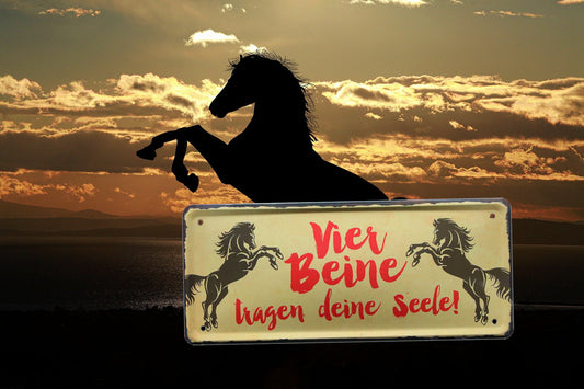 Blechschild ''Vier Beine tragen deine Seele (2 pferde)'' 28x12cm