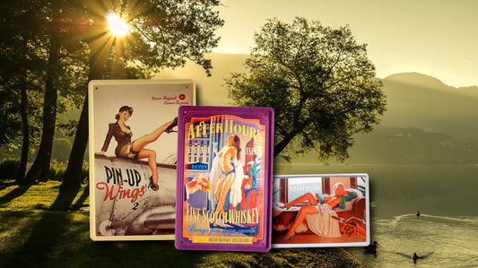 Blechschild ''Pinup Hollywood, kein BH'' 20x30cm