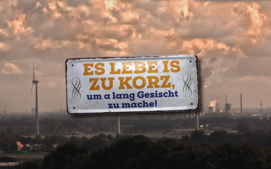 Blechschild ''Es Lebe is zu korz, um a lang Gesicht zu mache'' 28x12cm