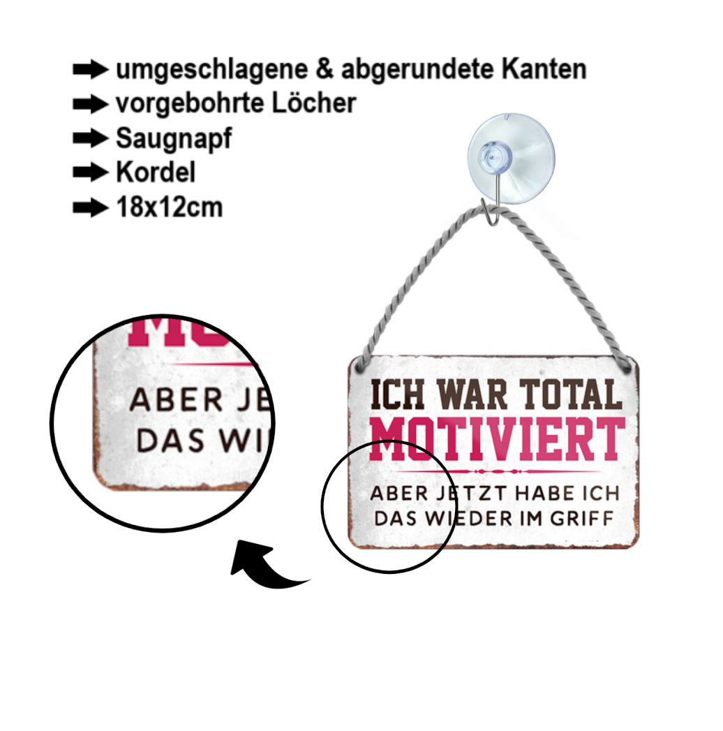 Blechschild ''Ich war total motiviert.. jetzt wieder im Griff'' 18x12cm