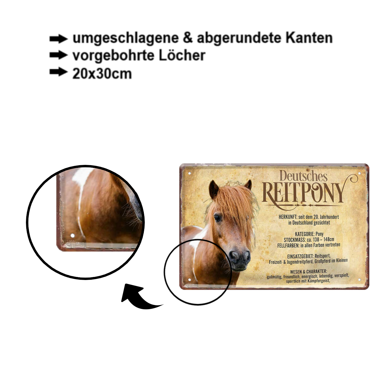 Blechschild ''Reitpony'' 20x30cm