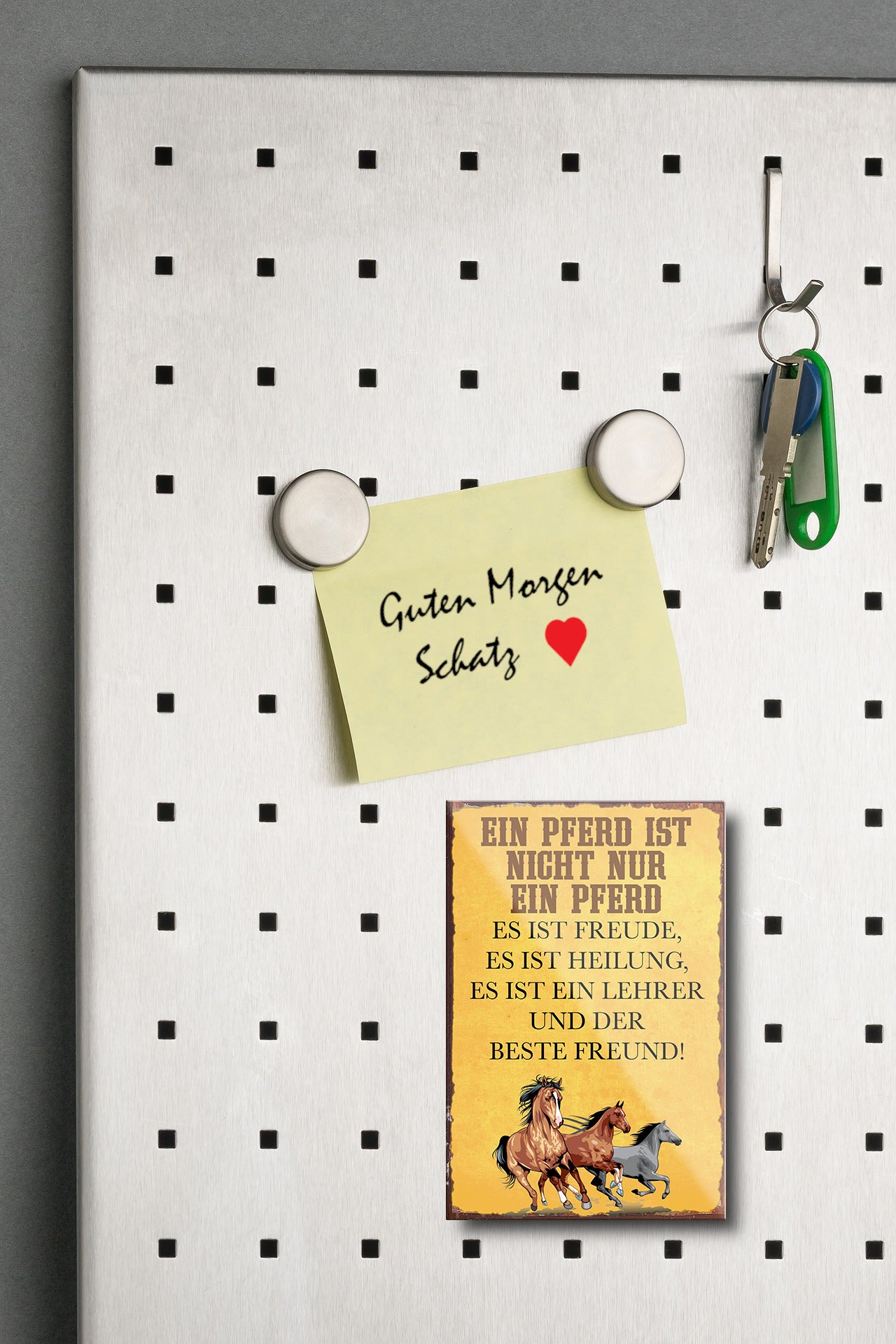 Magnet ''Ein Pferd ist nicht nur ein Pferd beste Freund'' 9x6x0,3cm