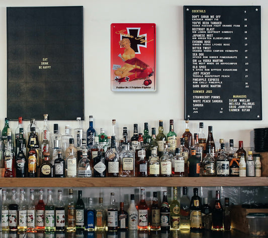 Blechschild ''Pinup rotes Flugzeug, schwarz weise Kreuz'' 20x30cm