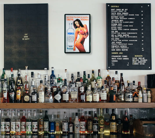 Blechschild ''Pinup Trink Vodka Brünette'' 20x30cm