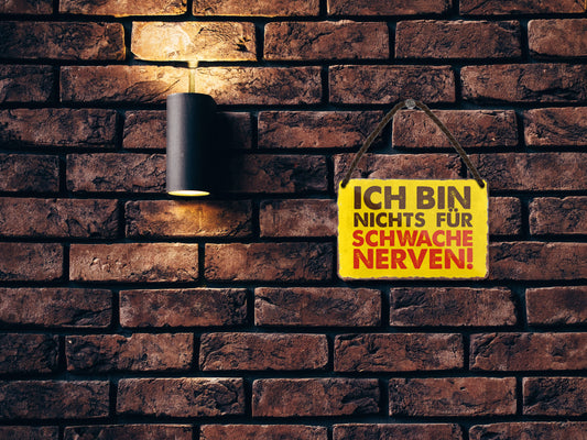 Blechschild ''Ich bin nichts für schwache Nerven'' 18x12cm