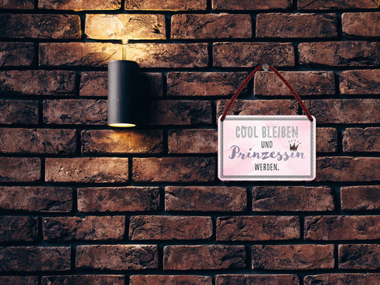 Blechschild ''Cool bleiben und Prinzessin werden'' 18x12cm