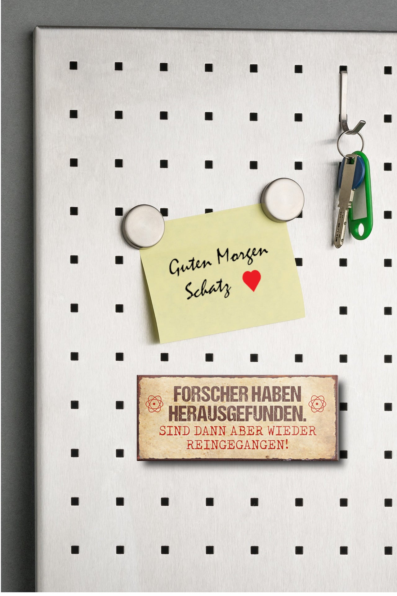 Magnet ''Forscher haben herausgefunden, reingegangen'' 9,3x4cm