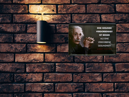 Blechschild ''Eine gesunde Verdorbenheit (Einstein)'' 20x30cm