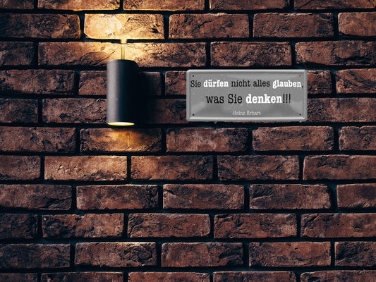 Blechschild ''Sie dürfen nicht alles glauben was sie denken'' 28x12cm