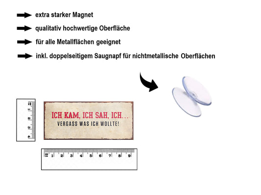 Magnet ''Ich kam, ich sah, ich vergass'' 9,3x4cm