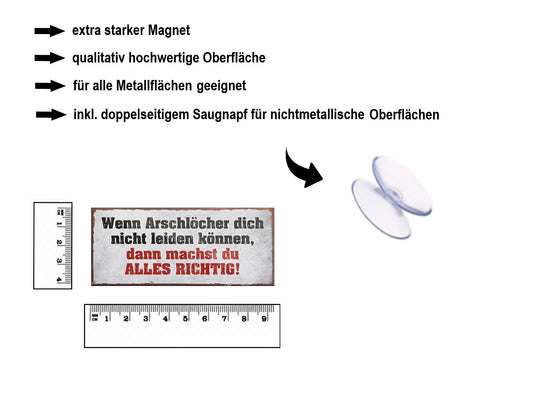 Magnet ''Wenn Arschlöcher dich nicht leiden können Alles richtg'' 9,3x4cm
