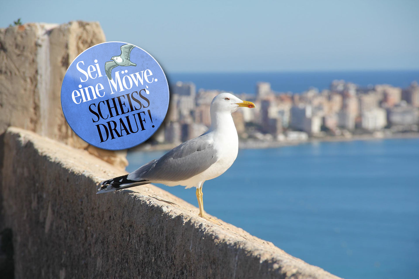 Magnet ''Sei eine Möwe. Scheiss drauf!'' 8x8x0,3cm