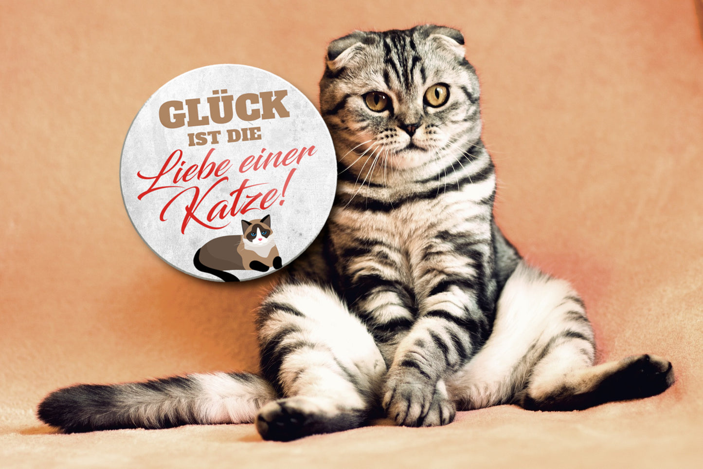 Magnet ''Glück ist die Liebe einer Katze'' 8x8x0,3cm