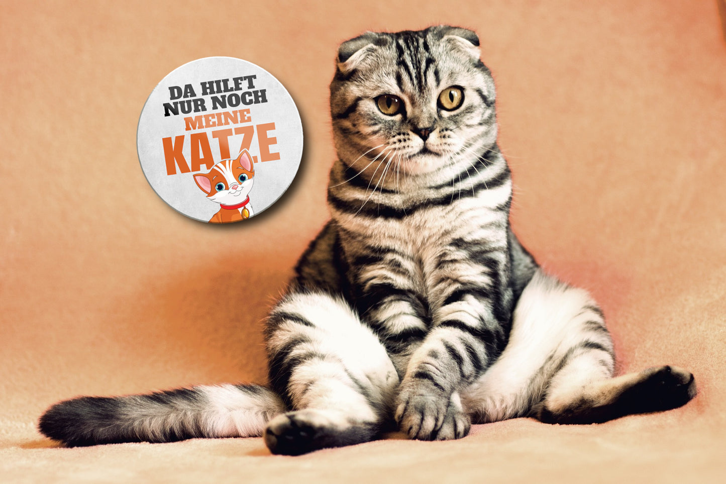 Magnet ''Da hilft nur noch meine Katze'' 8x8x0,3cm