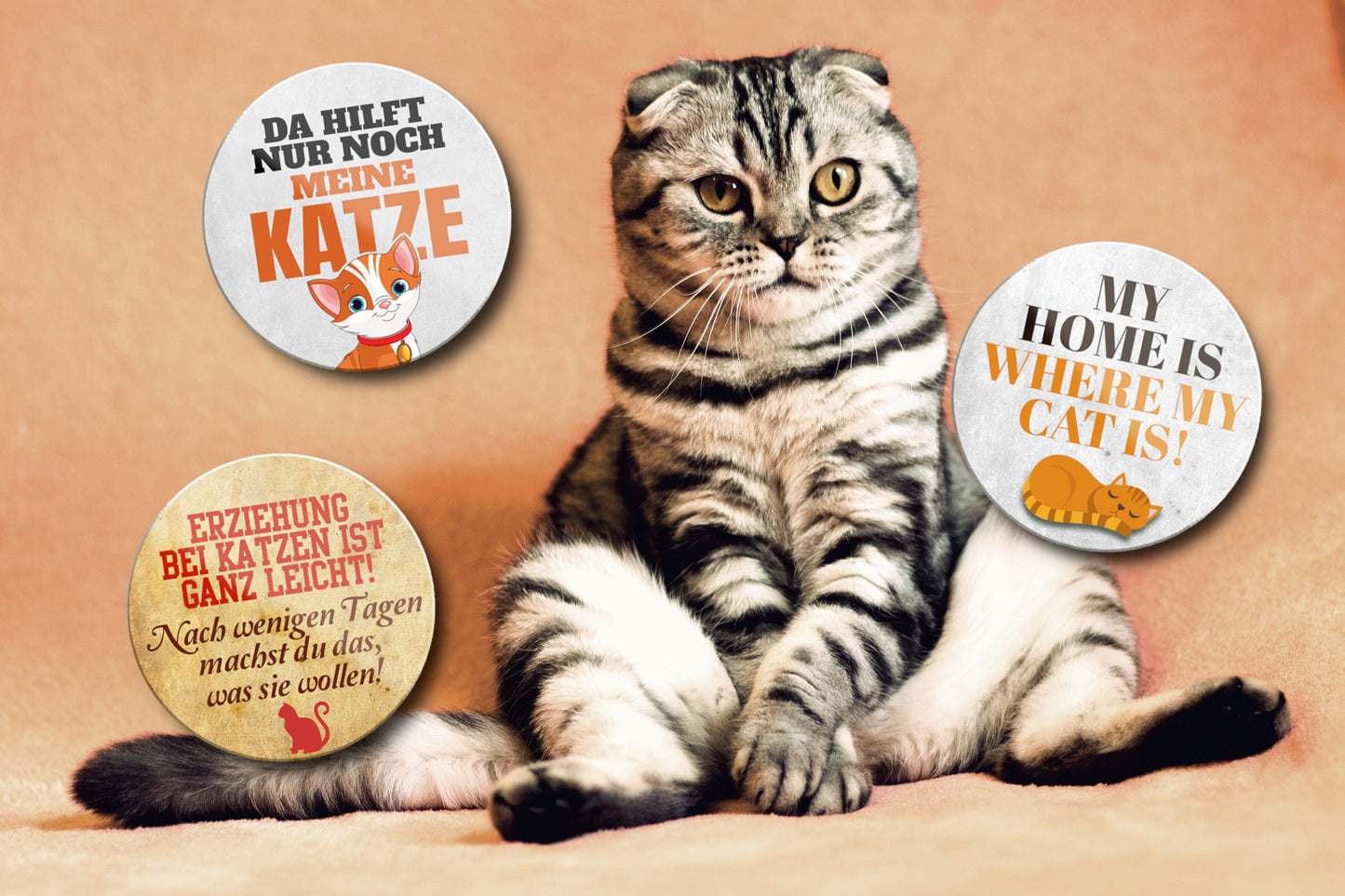 Magnet ''Erziehung bei Katzen ist ganz leicht'' 8x8x0,3cm
