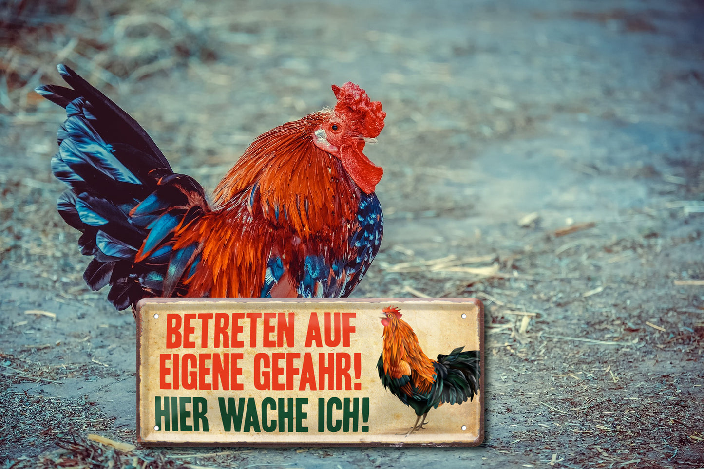 Blechschild ''Betreten auf eigene Gefahr. Huhn'' 28x12cm