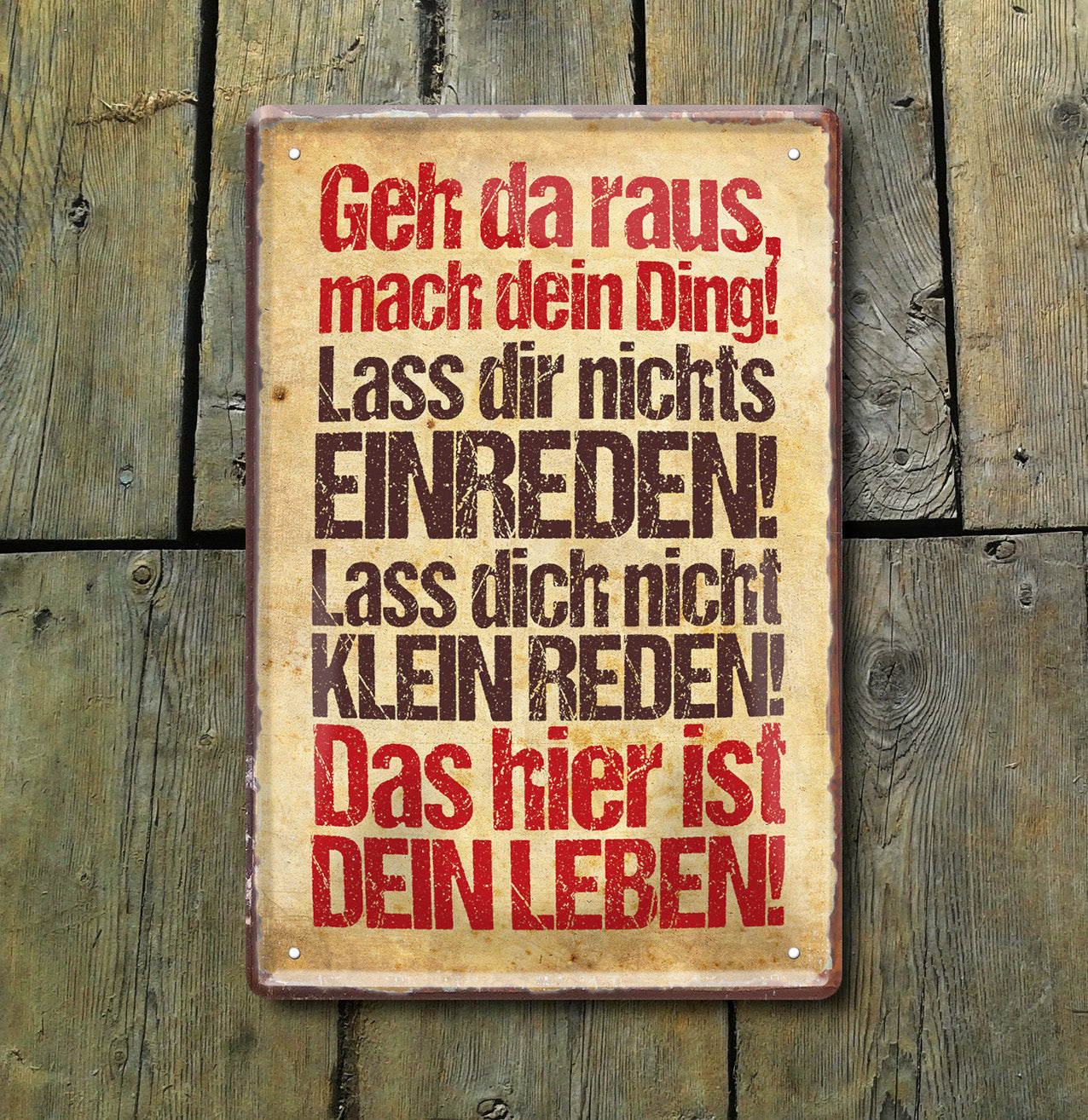 Blechschild ''Geh da raus, mach dein Ding'' 20x30cm