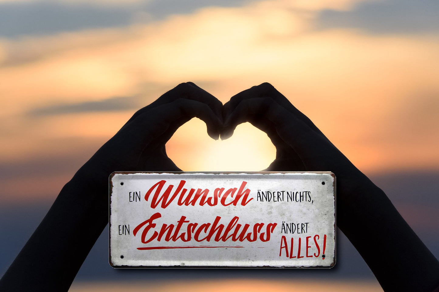 Blechschild ''Ein Wunsch ändert nichts, ein Entschluss ändert alles'' 28x12cm