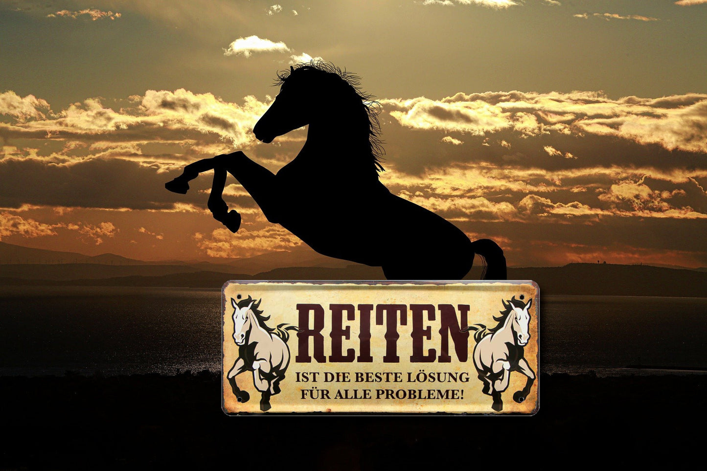Blechschild ''Reiten ist die beste Lösung für alle Probleme'' 28x12cm