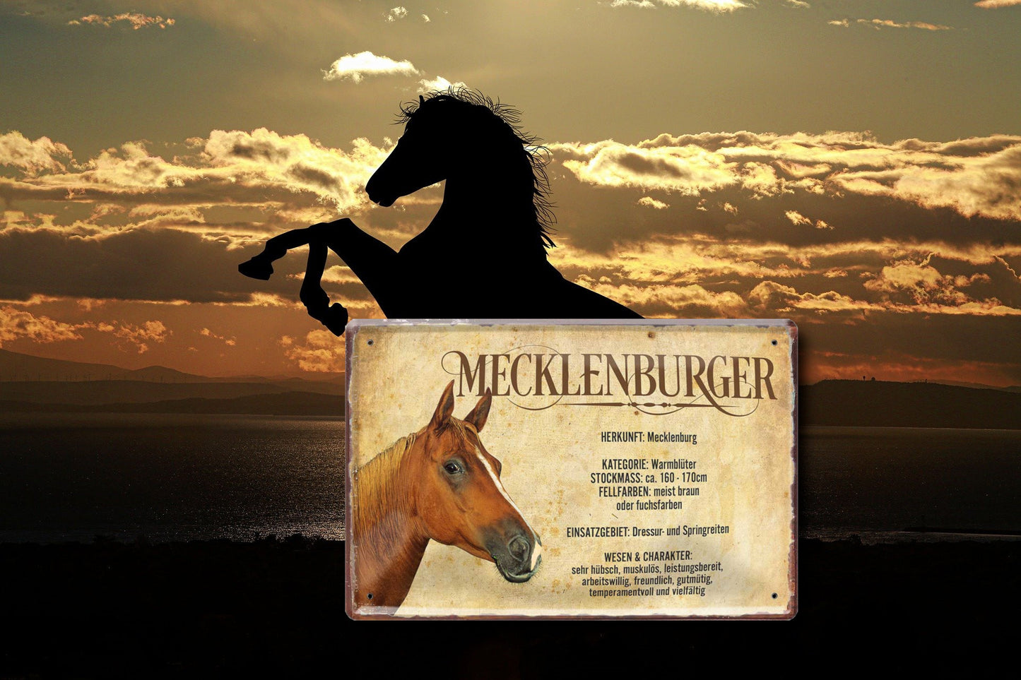 Blechschild ''Mecklenburger'' 20x30cm