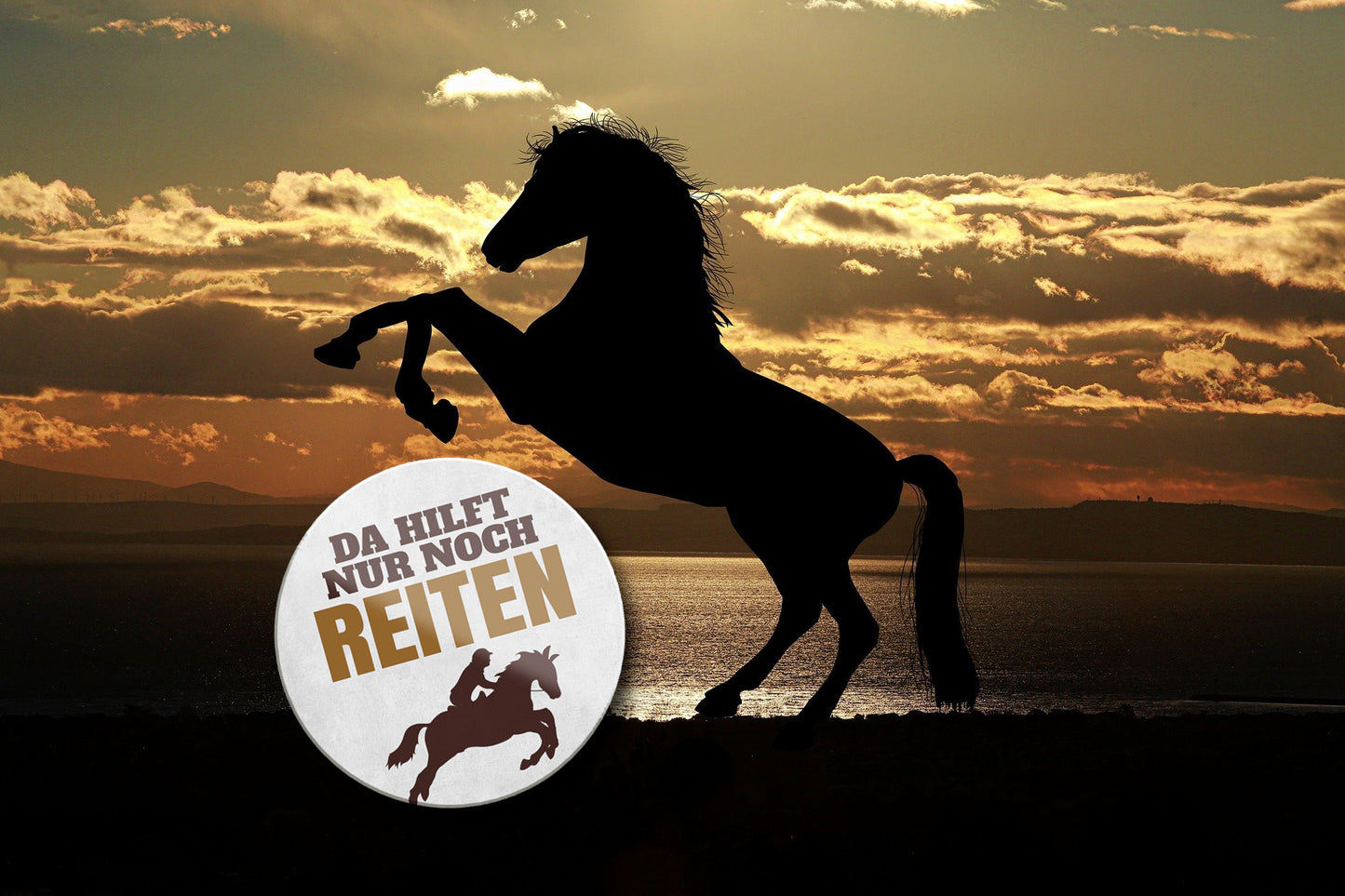 Magnet ''Da hilft nur noch Reiten'' 8x8x0,3cm