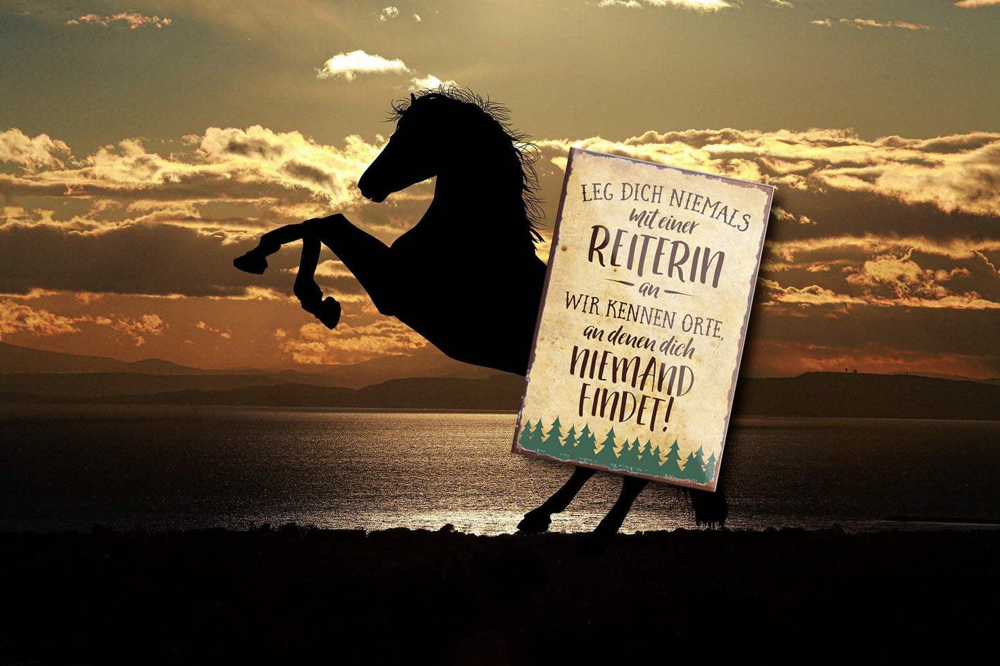 Magnet ''Leg dich niemals mit einer Reiterin an'' 9x6x0,3cm