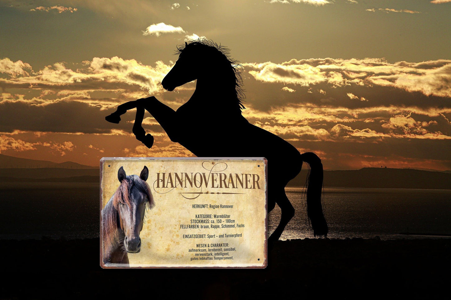 Blechschild ''Hannoveraner'' 20x30cm