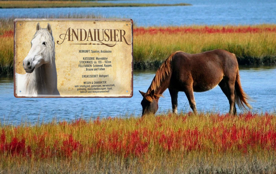 Tin sign "Andalusian" 20x30cm