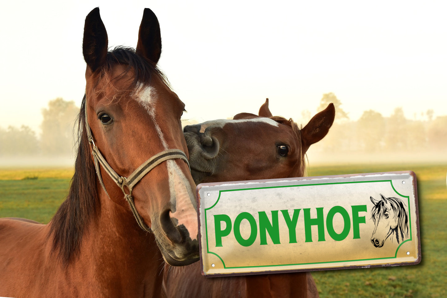 Blechschild ''Ponyhof'' 28x12cm