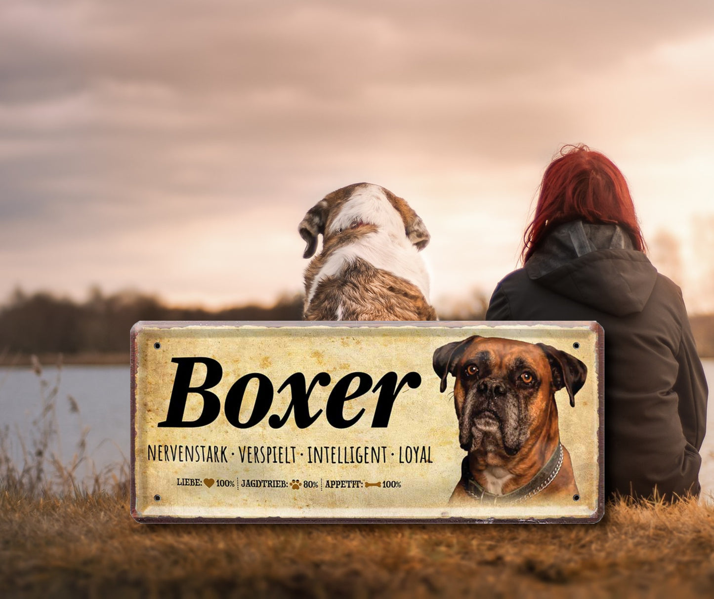 Blechschild ''Boxer'' 28x12cm