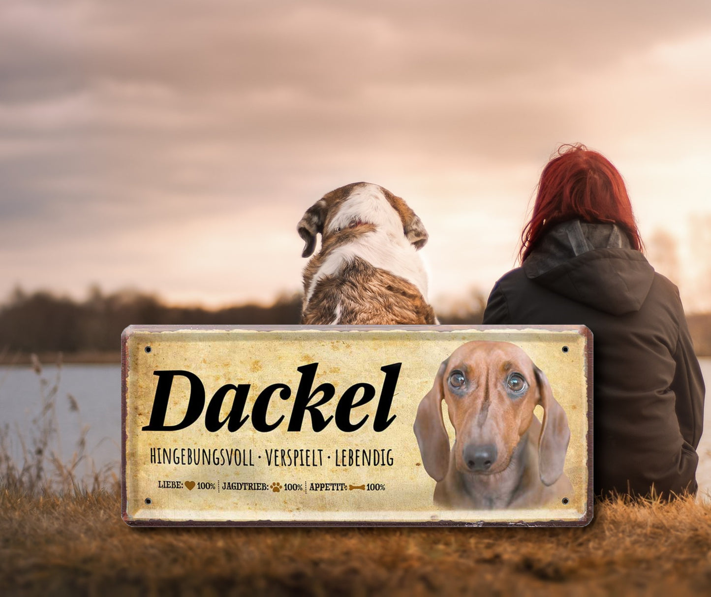 Blechschild ''Dackel'' 28x12cm