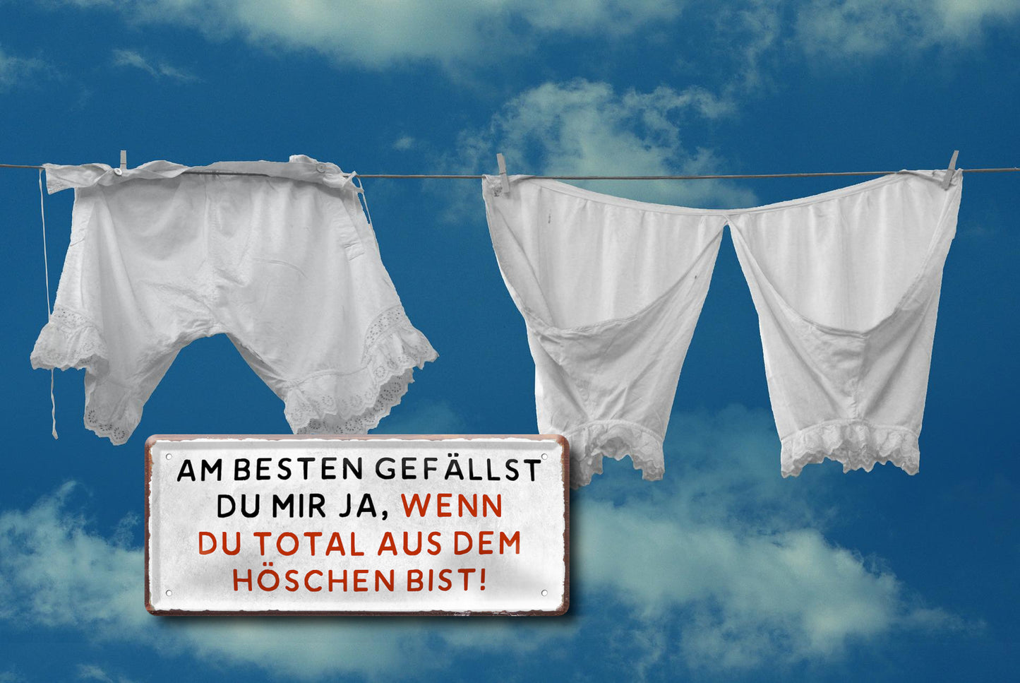 Blechschild ''Am besten gefällst du mir aus dem Höschen'' 28x12cm