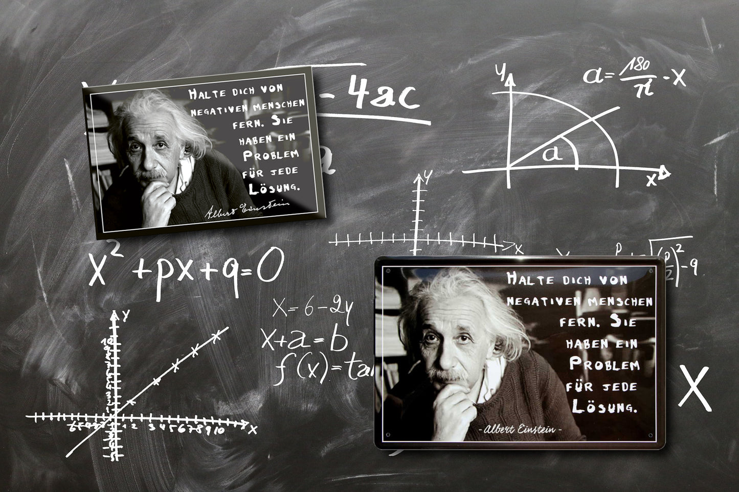 Blechschild ''Halte dich von negativen Menschen fern (Einstein)'' 20x30cm