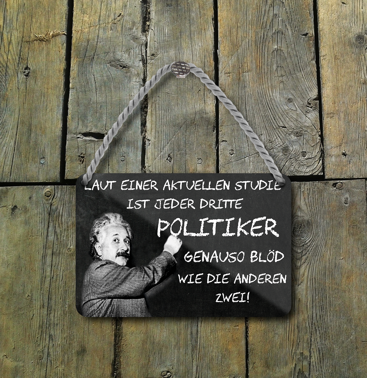 Blechschild ''Laut einer aktuellen Studie ist jeder dritte Politiker'' 18x12cm